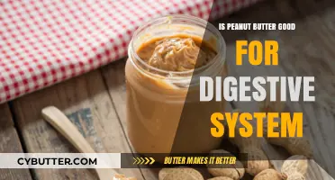 Peanut Butter and Digestion: Benefits, Risks, and Gut Health Explained