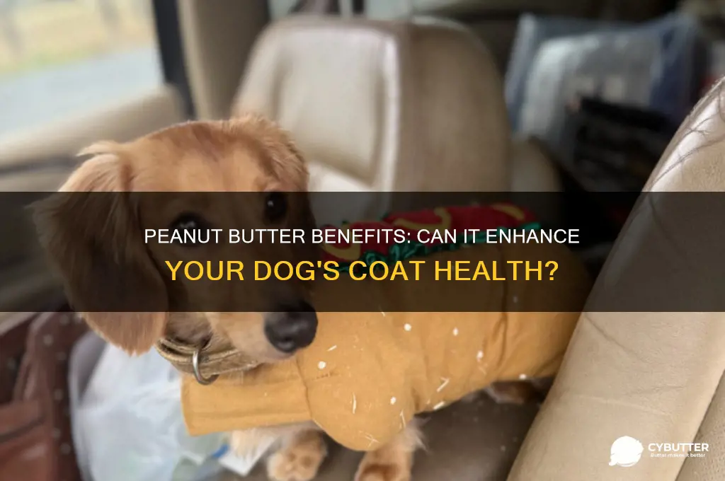is peanut butter good for dog