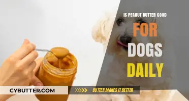 Peanut Butter for Dogs: Daily Benefits, Risks, and Safe Serving Tips