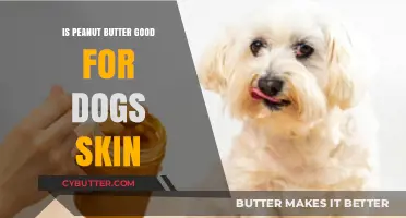 Peanut Butter Benefits: Can It Improve Your Dog's Skin Health?