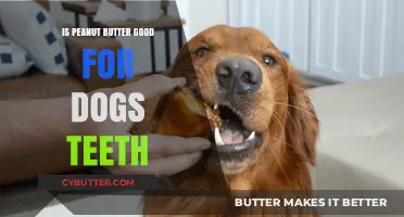 Peanut Butter for Dogs: Dental Benefits or Harmful Myth?