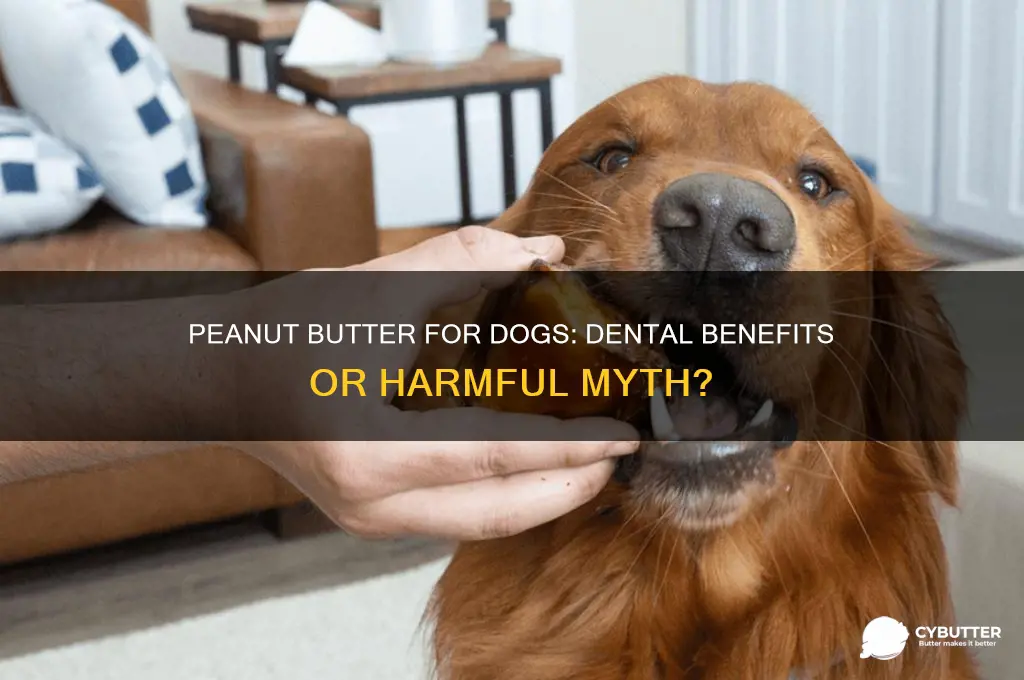 is peanut butter good for dogs teeth