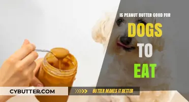 Can Dogs Enjoy Peanut Butter? A Nutty Debate Uncovered