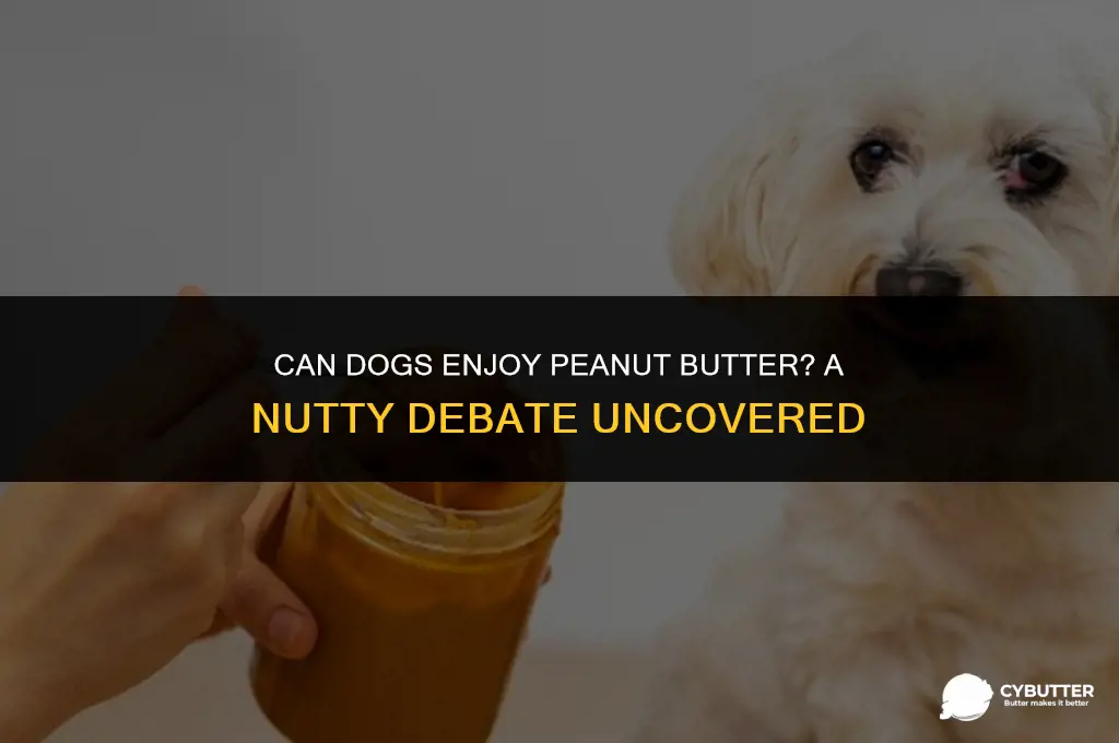 is peanut butter good for dogs to eat