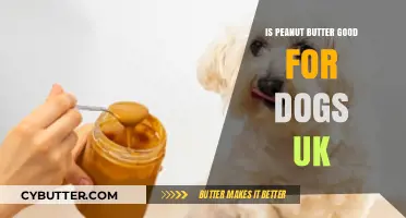 Is Peanut Butter Safe for UK Dogs? A Nutty Guide