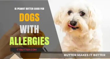 Peanut Butter for Allergic Dogs: Safe Snack or Risky Treat?