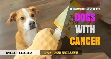 Peanut Butter Benefits: A Safe Treat for Dogs with Cancer?