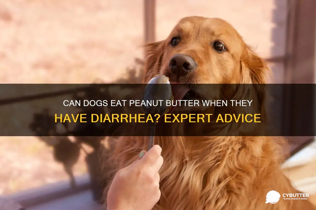 is peanut butter good for dogs with diarrhea