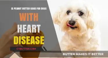 Peanut Butter and Canine Heart Health: Safe or Risky?