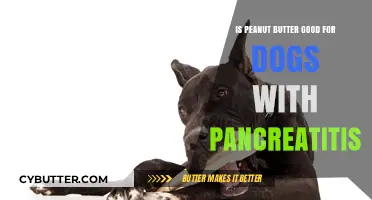 Peanut Butter and Pancreatitis: Safe or Risky for Dogs?