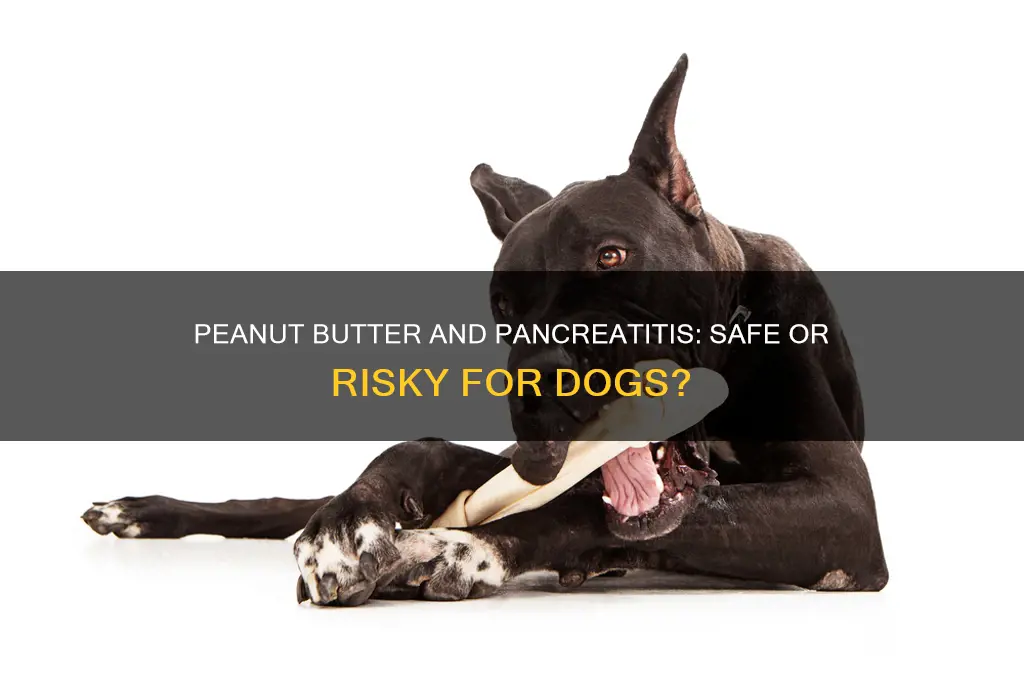 is peanut butter good for dogs with pancreatitis