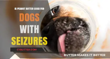 Peanut Butter Benefits: Can It Help Dogs Manage Seizures Safely?