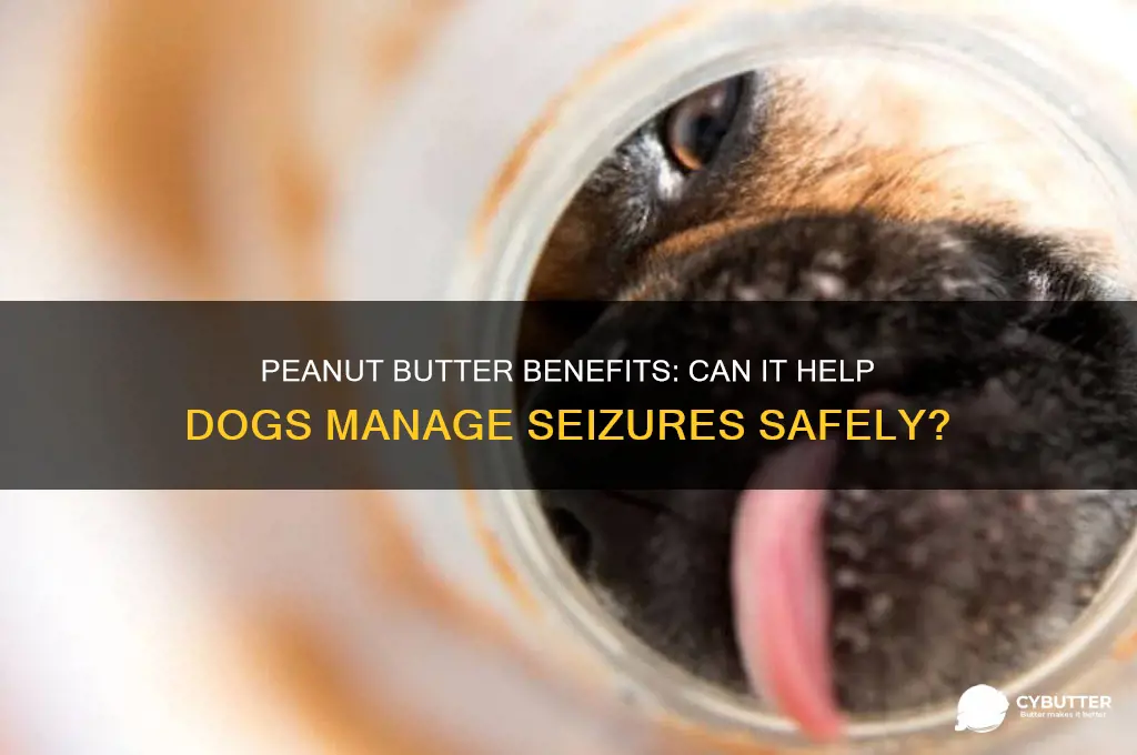 is peanut butter good for dogs with seizures