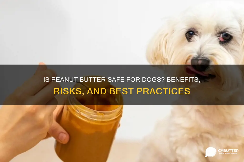 is peanut butter good for dogs
