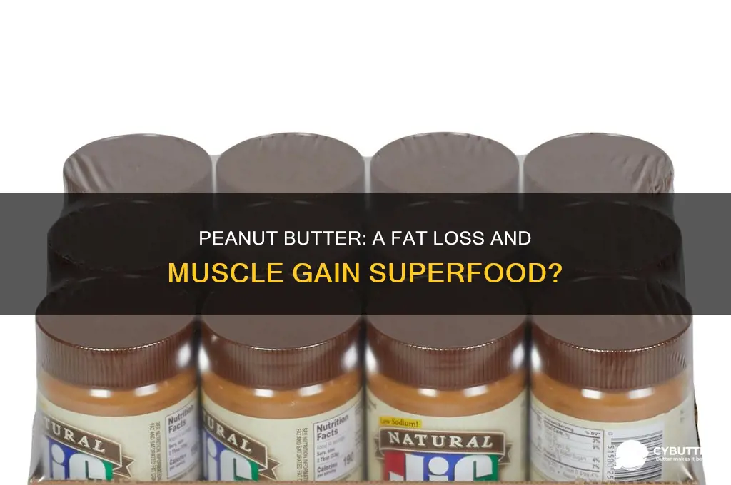 is peanut butter good for fat loss and muscle gain