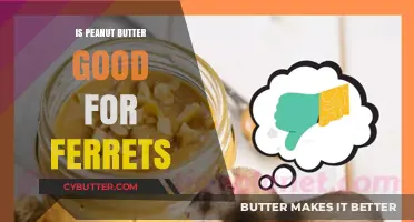 Can Ferrets Eat Peanut Butter? Nutritional Facts and Safety Tips