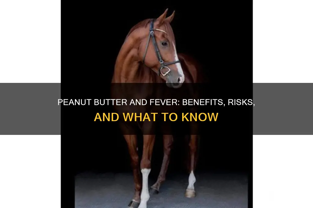 is peanut butter good for fever