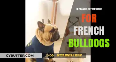 Peanut Butter for French Bulldogs: Safe, Healthy, or Harmful?