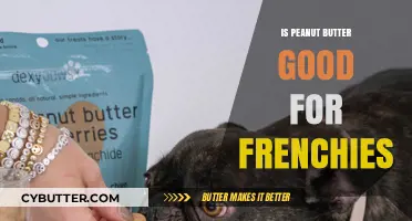 Is Peanut Butter Safe for French Bulldogs? Benefits and Risks Explained