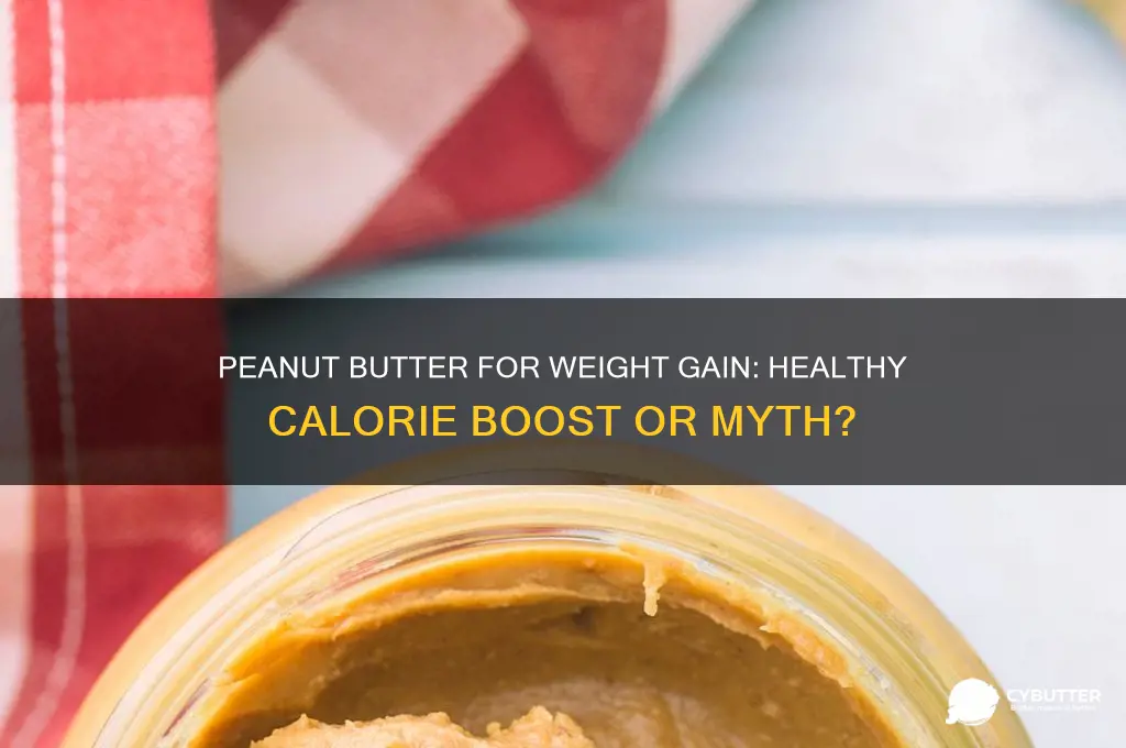 is peanut butter good for gaining weight