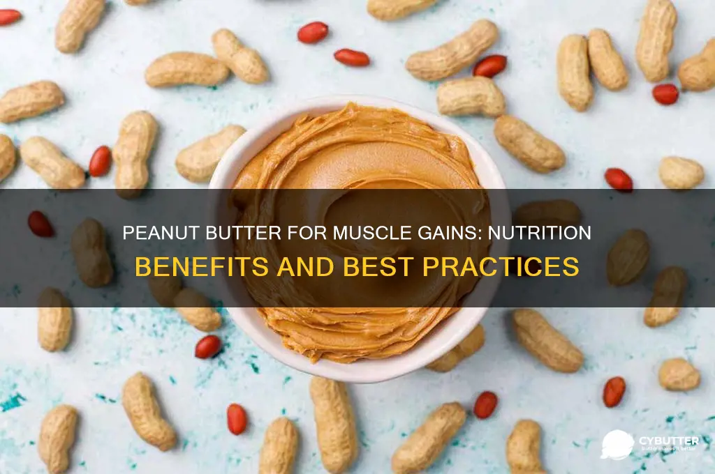 is peanut butter good for gains