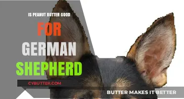 Peanut Butter Benefits: Is It Safe for German Shepherds?
