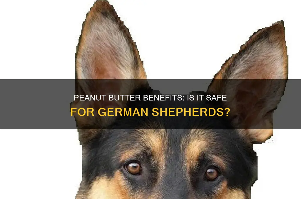 is peanut butter good for german shepherd