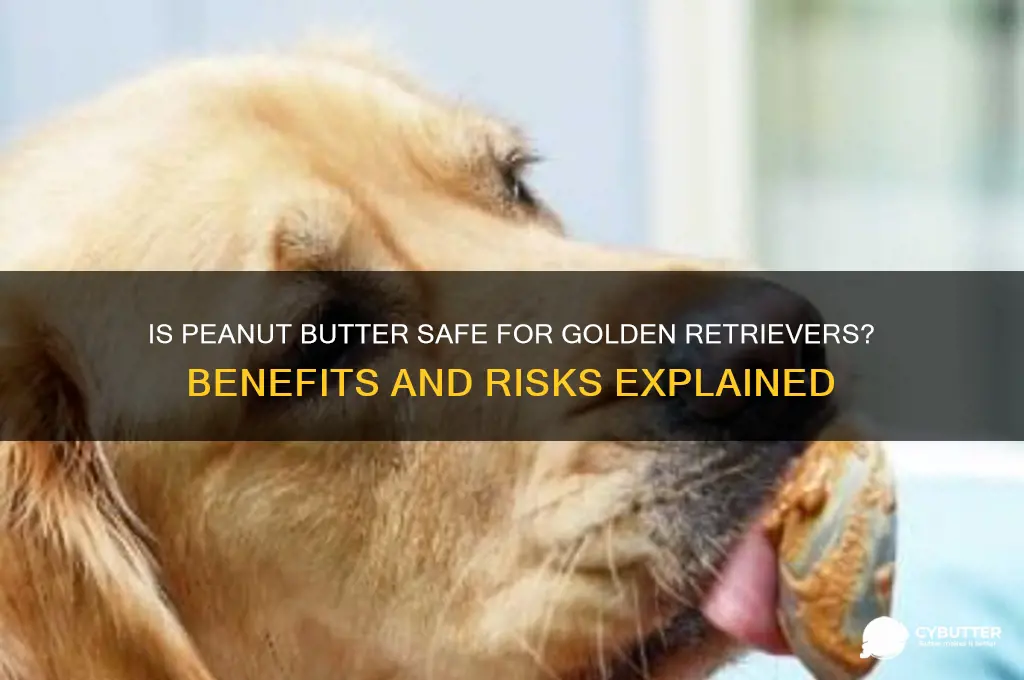 is peanut butter good for golden retriever