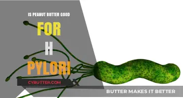 Peanut Butter and H. Pylori: Benefits, Risks, and Dietary Tips