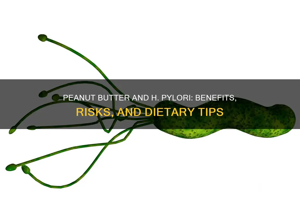 is peanut butter good for h pylori