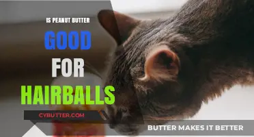 Can Peanut Butter Help Cats with Hairballs? Facts and Tips