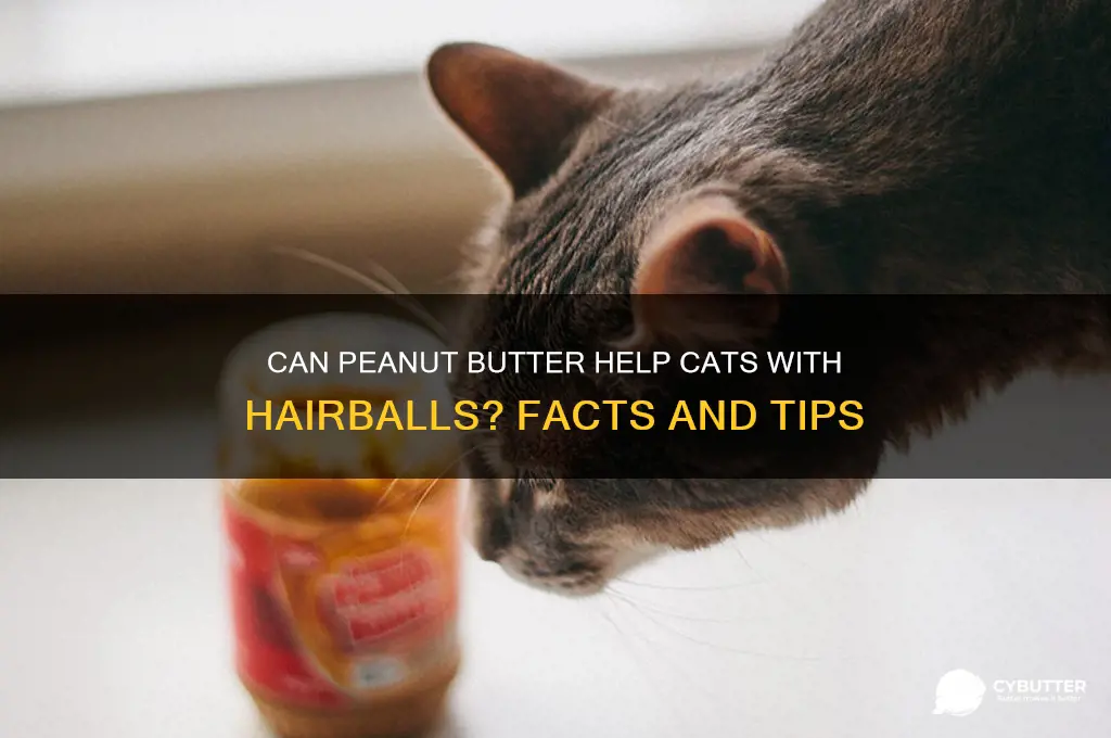 is peanut butter good for hairballs