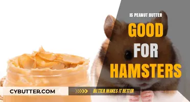 Peanut Butter for Hamsters: Benefits, Risks, and Safe Feeding Tips