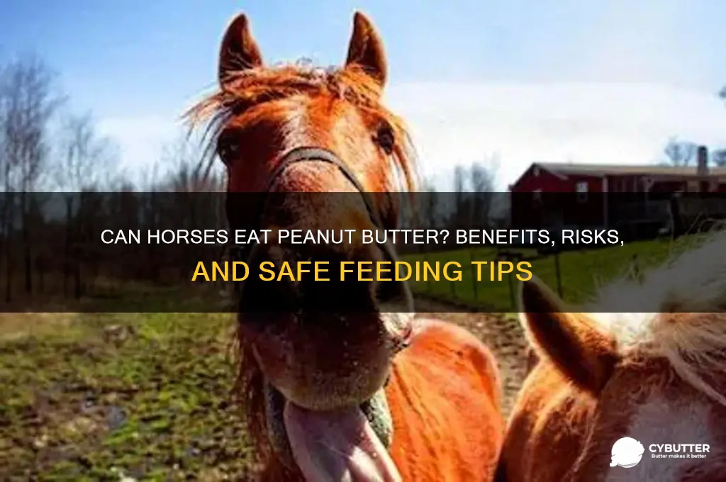 is peanut butter good for horses