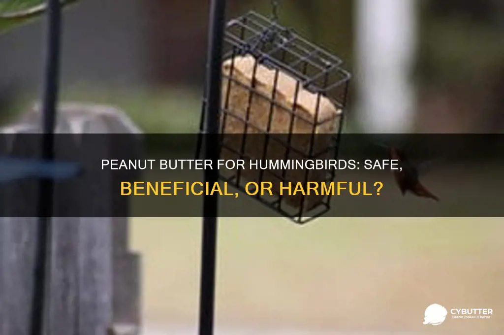 is peanut butter good for hummingbirds