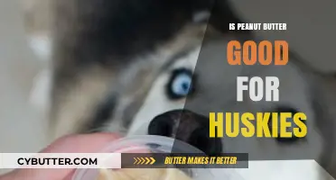 Is Peanut Butter Safe for Huskies? Benefits and Risks Explained