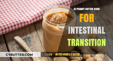 Peanut Butter's Impact on Intestinal Transition: Benefits or Drawbacks?