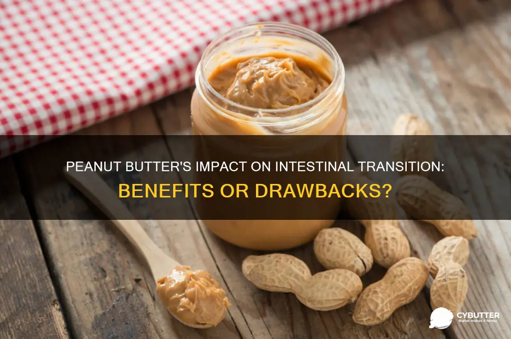 is peanut butter good for intestinal transition