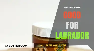 Is Peanut Butter Safe and Healthy for Your Labrador Retriever?