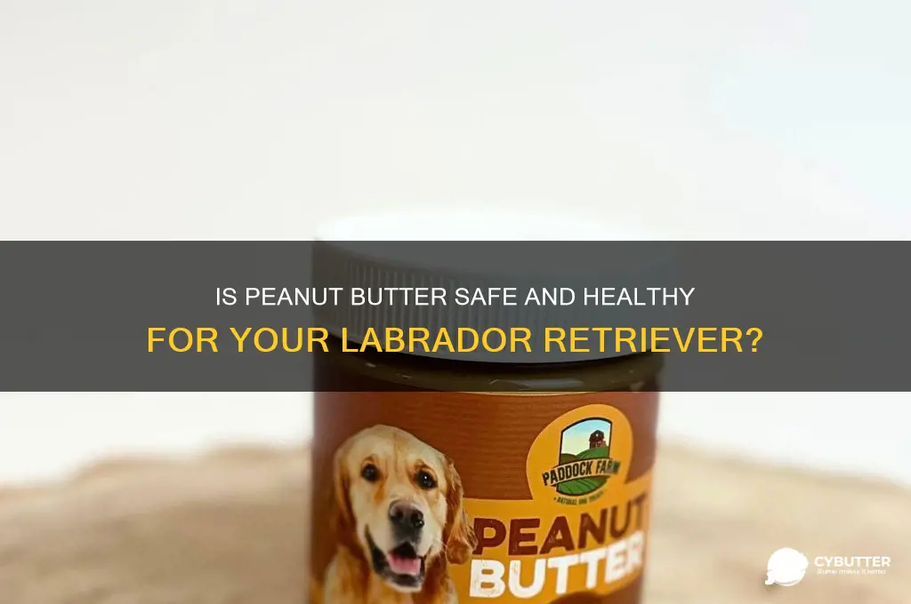 is peanut butter good for labrador