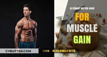 Peanut Butter for Muscle Gain: Benefits, Nutrition, and Best Practices