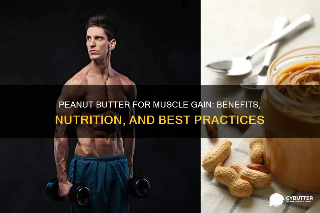 is peanut butter good for muscle gain