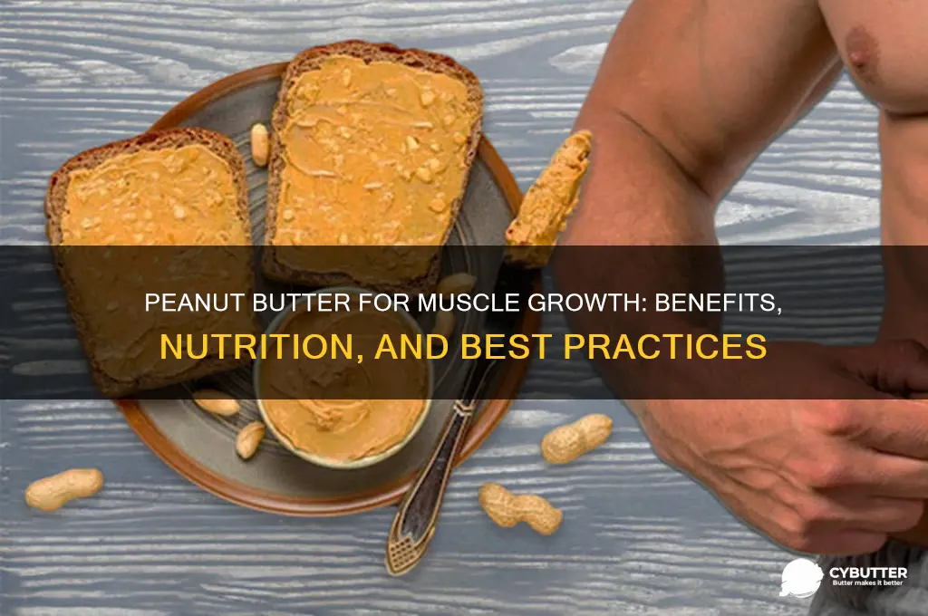 is peanut butter good for muscle growth