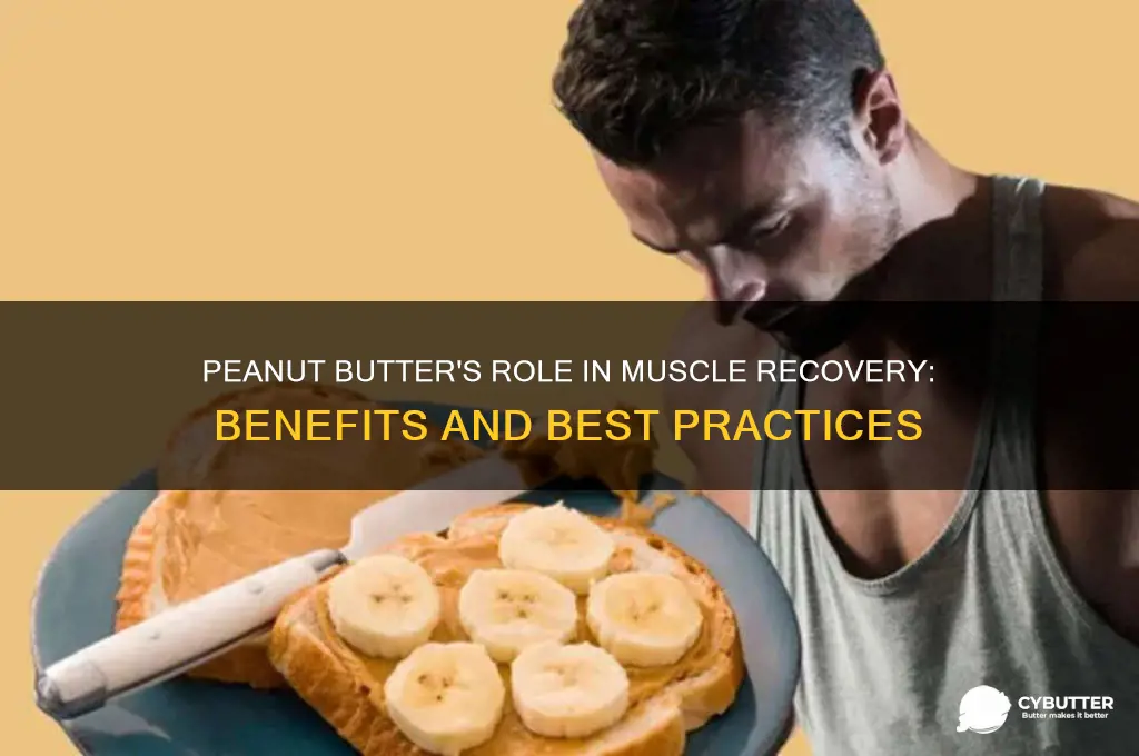 is peanut butter good for muscle recovery