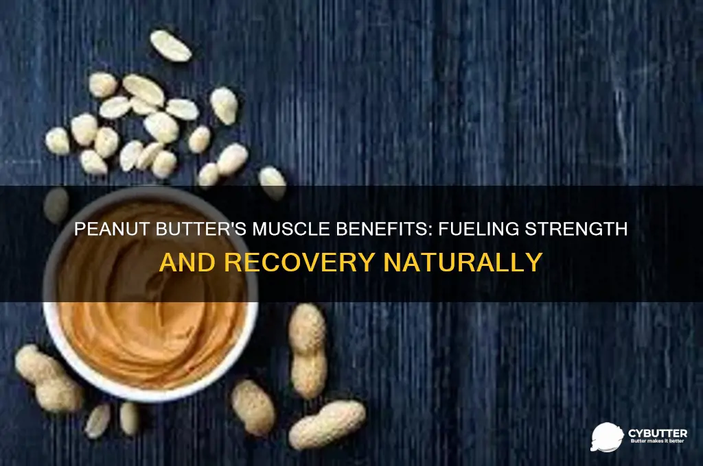 is peanut butter good for musles