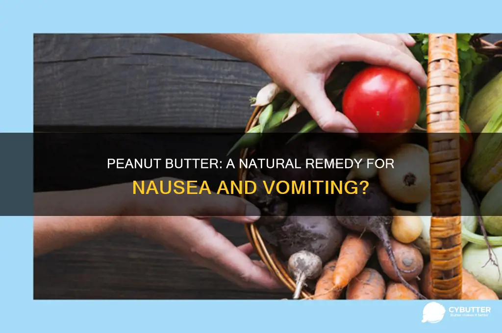 is peanut butter good for nausea and vomiting