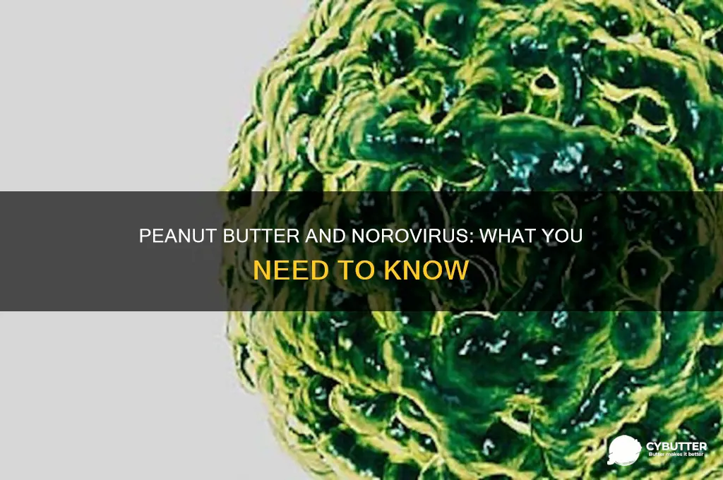 is peanut butter good for norovirus