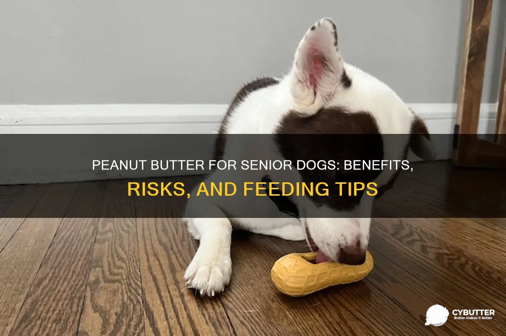 is peanut butter good for old dogs