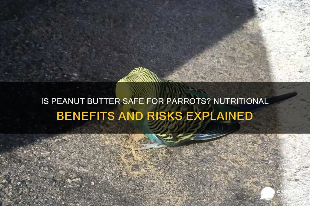 is peanut butter good for parrots