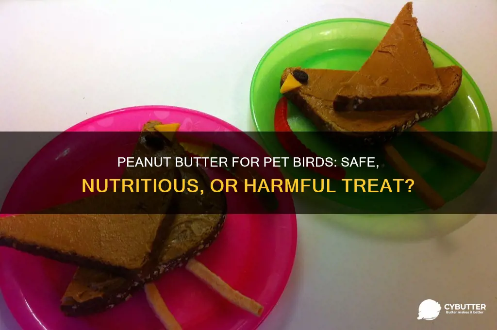 is peanut butter good for pet birds